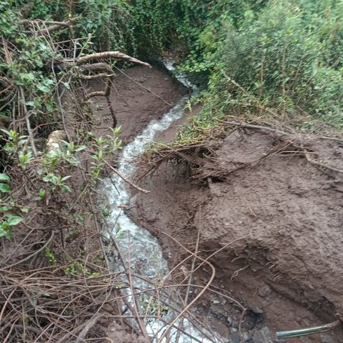 🎙️😬💧 DESLIZAMIENTOS DE TIERRA DEJA SIN AGUA POTABLE A LA POBLACIÓN DE LIMATAMBO PUEBLO Y ALEDAÑOS 13/11/2024