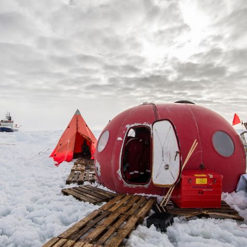L'Antartide non è più covid free