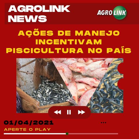O consumo e a produção de peixes no Brasil, o início da colheita de pinhão de Santa Catarina.