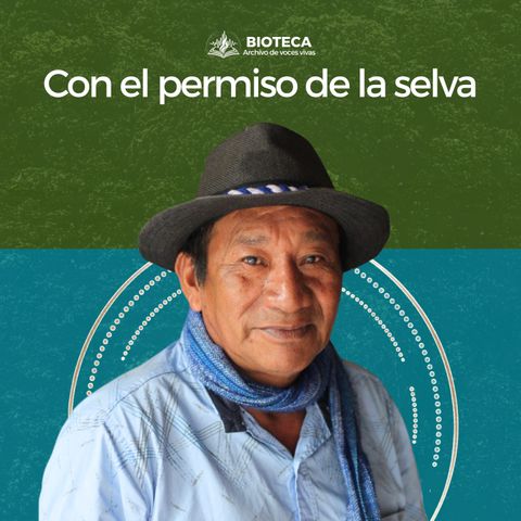 Con el permiso de la selva
