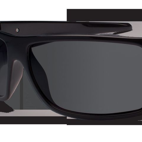 Polarized Sunglasses With Readers