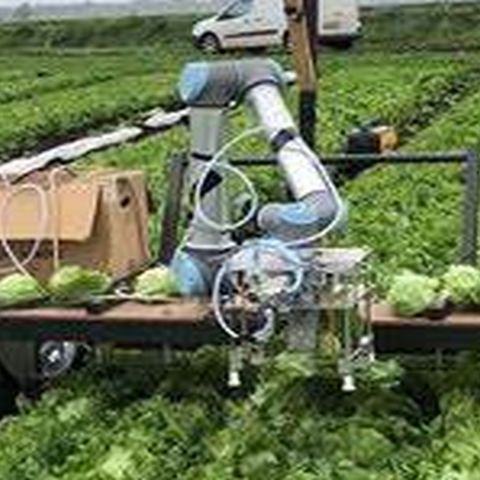 El uso de robots para trabajar en el campo