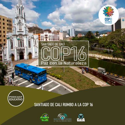 NUESTRO OXÍGENO Santiago de Cali rumbo a la COP16