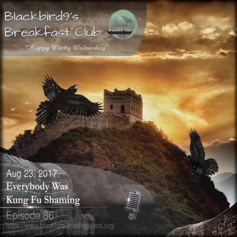 Everybody Was Kung Fu Shaming - Blackbird9 Podcast