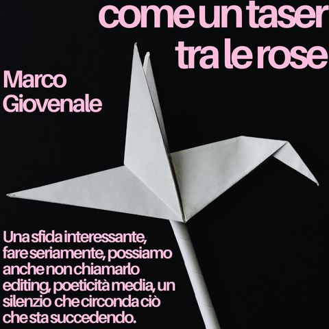 Marco Giovenale