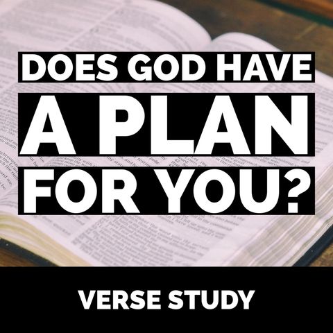 Does God have a plan for you? | Proverbs 20:24 Verse Study