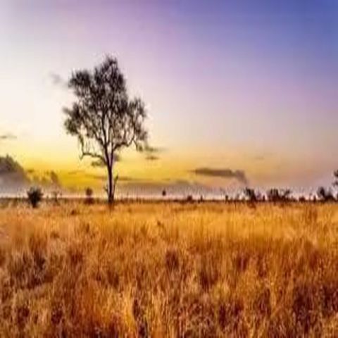 explorando la naturaleza