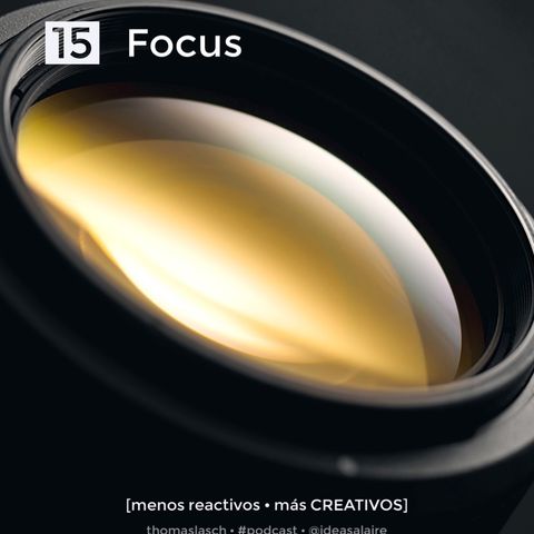 15 Focus