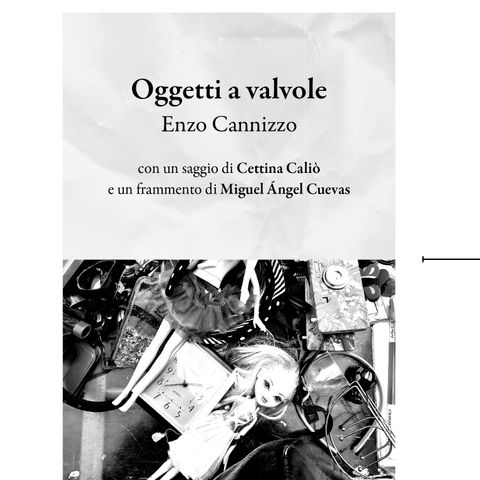 Enzo Cannizzo "Oggetti a valvole"