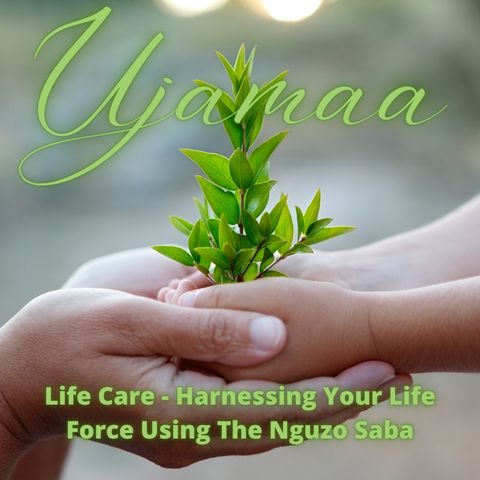 Life Care - Harnessing Your Life Force Using The Nguzo Saba