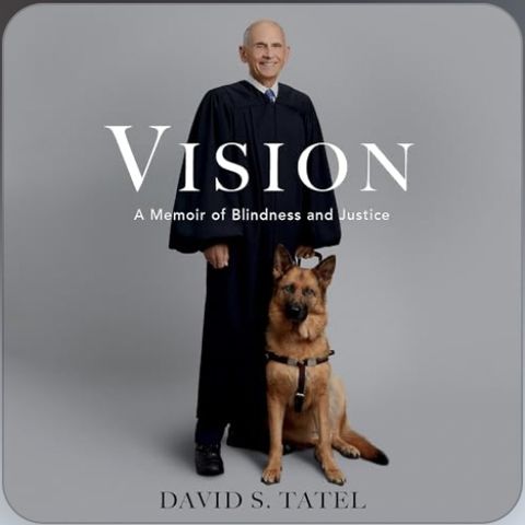 David - Vision and Justice