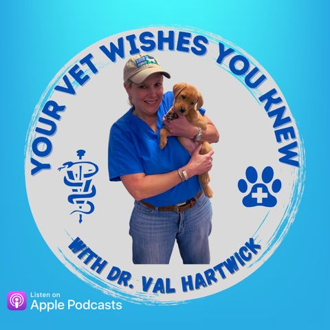Ep 13 - Heartworms and Why Preventatives Matter