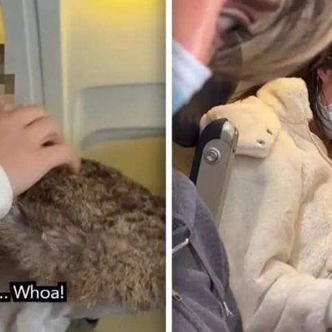 Viral video of woman breastfeeding cat on flight has incredible story behind it