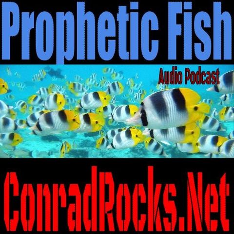 Prophetic Fish - Walking in the Spirit