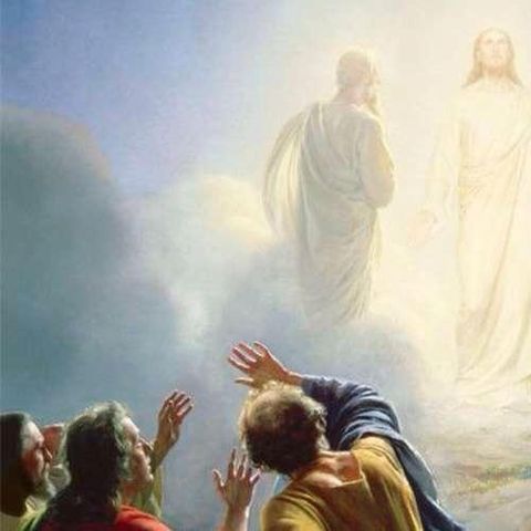 Con Jesús en su Transfiguración