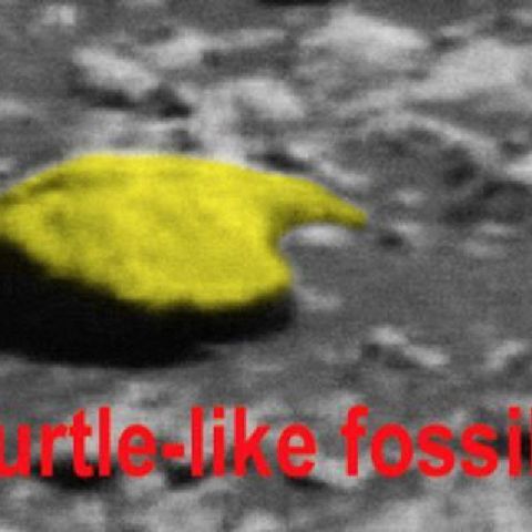 UBR - UFO Report 153: Waring's Pareidolia Strikes Again and NASA Seeks Really Old Asteroid Dirt