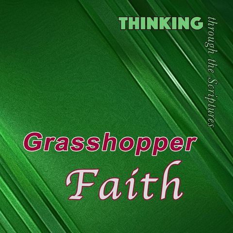 Grasshopper Faith (TTTS#11)