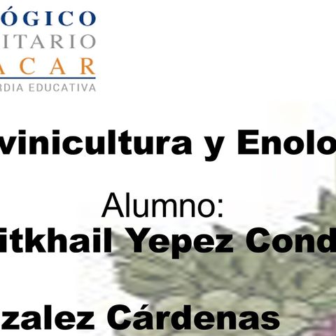 Vitivinicultura y Enología