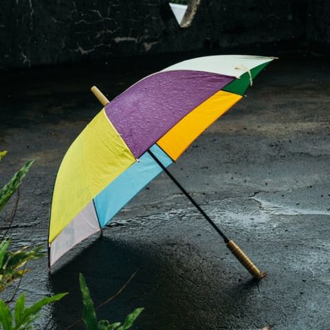 It’s National Umbrella Day ☔️ Thursday, Feb. 10th