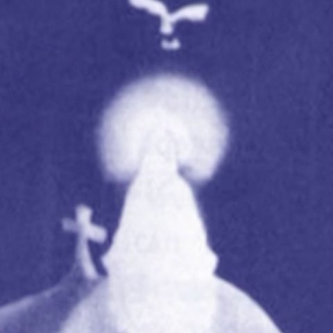 FILMATA, FOTOGRAFATA, REALE: il MISTERO di Zeitoun che sfida la scienza