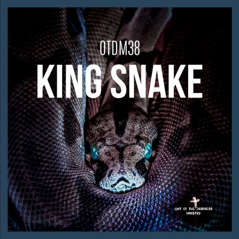 OTDM38 King Snake