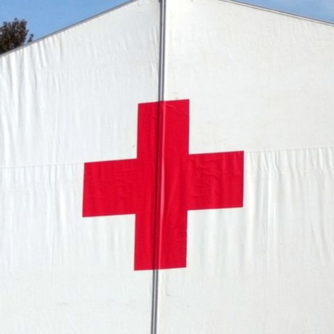 La Cruz Roja distribuirá ayuda humanitaria en Venezuela
