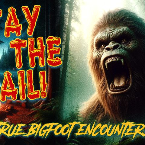 Stay On The Trail - Horrifying True Bigfoot Stories