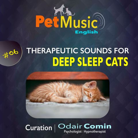 #06 Therapeutic Sounds for Deep Sleep Cats | PetMusic