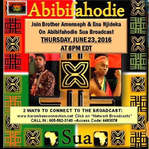 Liberate to Elevate our Afrikan Families