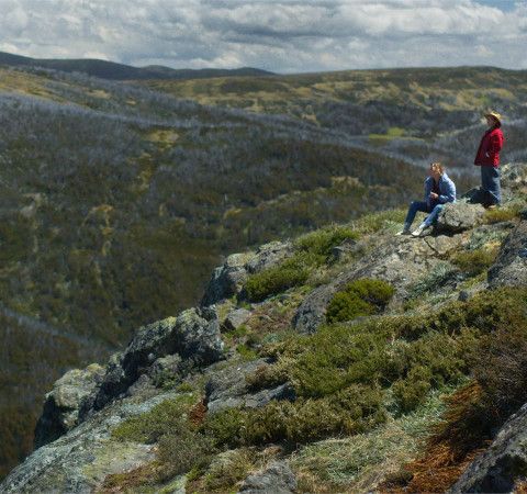 WILDERNESS - Martin McKenna Interview