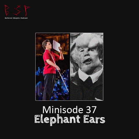 Minisode 37 – Elephant Ears