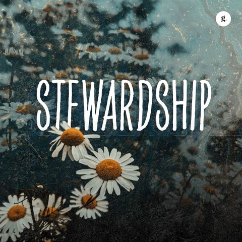 Stewardship | Jay Yeoh