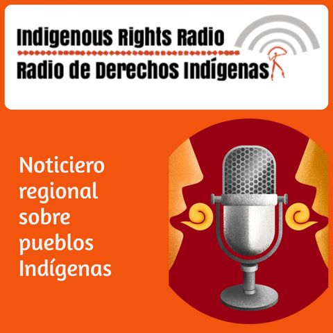 Noticiero regional sobre Pueblos Indígenas, octubre 2024