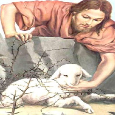 La pecora perduta. Vangelo di Luca 15:1-7