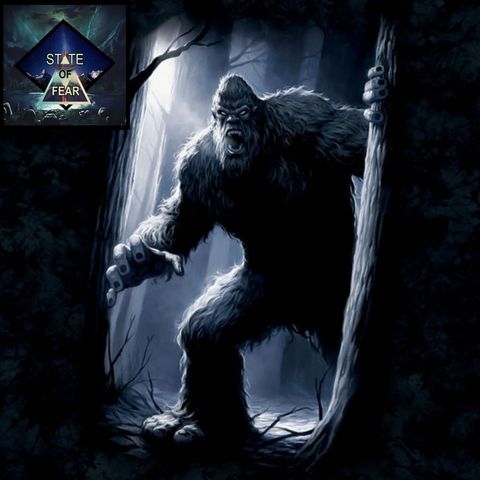 Episode 36 - Ohio: Chased by Bigfoot