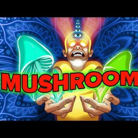 What Happens to Your Body When You Take Mushrooms