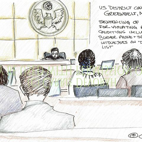 Episode 3: CRIME TIMES TWO- SEC WHISTLEBLOWER SHARES REALITY OF NDAs LAWYERS USE TO COVER UP CRIMES BY SEC, FINRA, R KELLY FINRA MADOFF FRAU