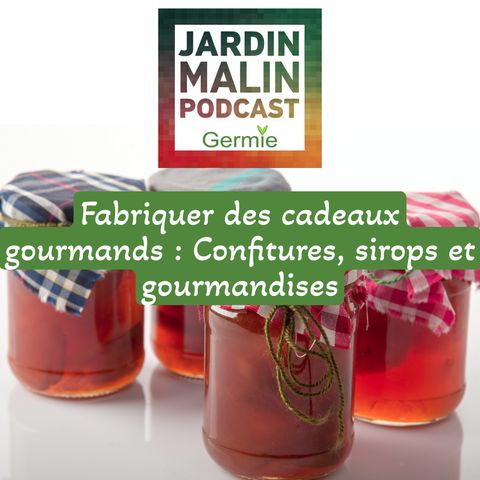 Fabriquer des cadeaux gourmands: Confitures, sirops et gourmandises à base de fruits du jardin