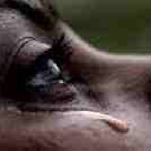 She Cried