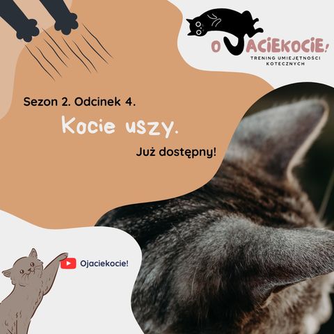 S2E4 - Kocie uszy.