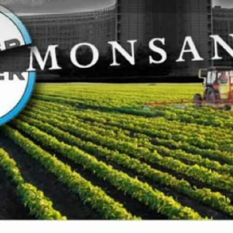 Al Infinito "Monsanto Veneno Mundial"