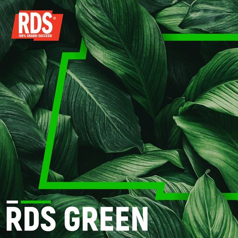 RDS Green - 16-04-2024 14:57