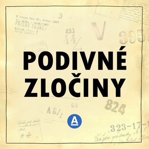 Bod na radaru se náhle zvětšil a zmizel. Z mraků vypadávaly trosky i lidská těla