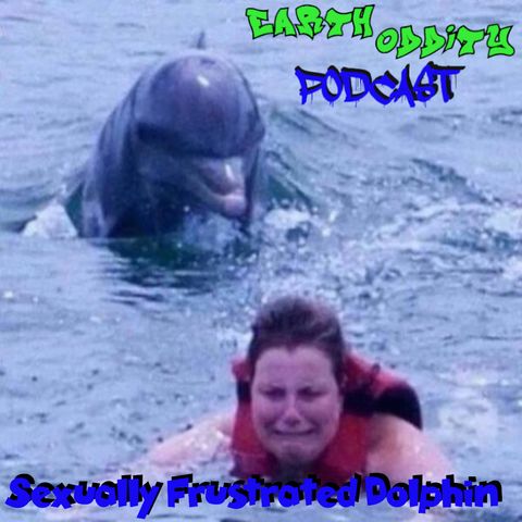 Earth Oddity 309: Sexually Frustrated Dolphin