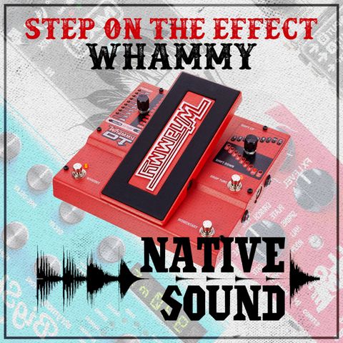 Step on the Effect: Whammy