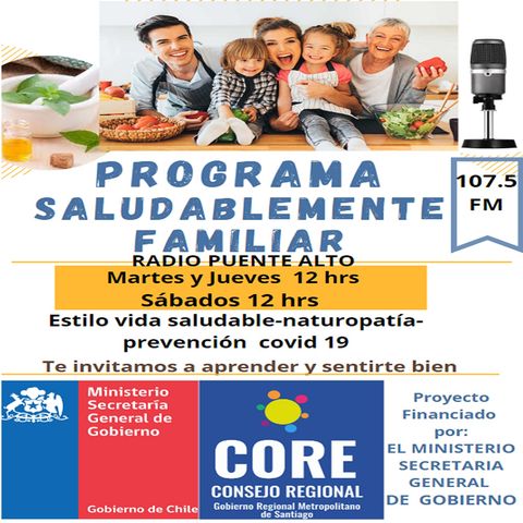 Programa Saludablemente Familiar 24 Resumen Proyecto en Radio Puente Alto JUAN CARLOS PAREDES PLAZA DENISSE ORTIZ