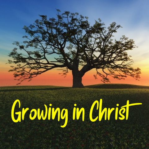 Growing in Christ (10)