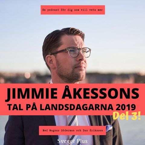 Om Jimmie Åkessons tal på Landsdagarna 2019 (del 3)