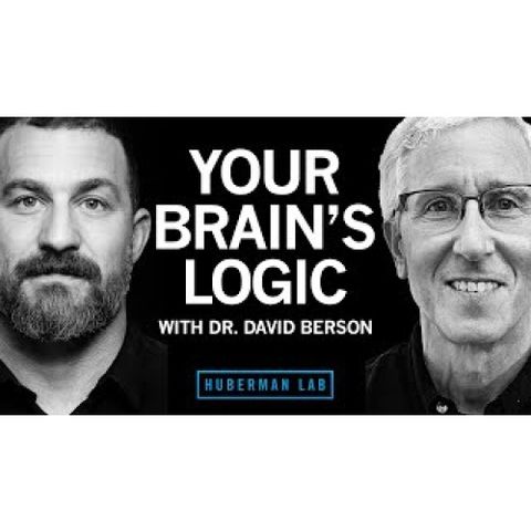 Your Brain's Logic & Function _ Dr. David Berson