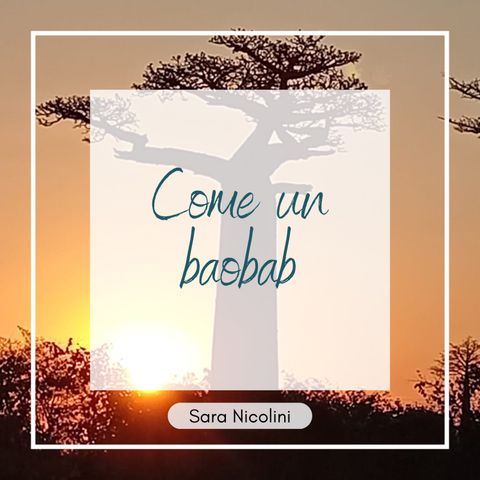 COME UN BAOBAB
